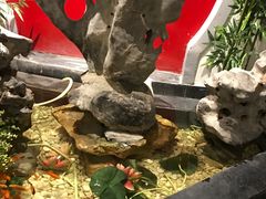 -冶春茶社(星汉大厦店)