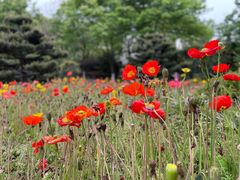 -上海市保健医疗中心