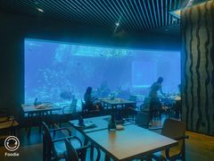 -海棠湾洲际-涛·海底餐厅·美人鱼·自助餐·海底隧道