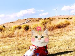 -御道口草原森林风景区