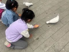 -中粮·祥云小镇