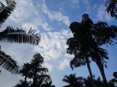 景点-广州珠江公园