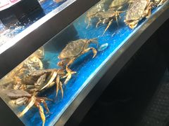 -盒马鲜生(莱蒙都会店)