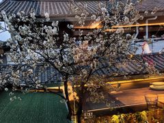 -菌自由丨野生菌火锅特色庭院餐厅(丽江古城店)