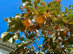 -何适山庄 ·可团建(水长城P2停车场店)