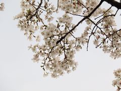 -龙美术馆(西岸馆)