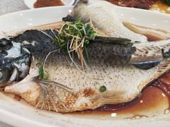 -畔山酒店中餐厅