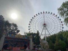 -青城公园