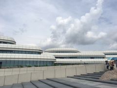-野狸岛
