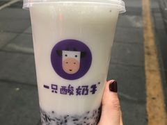 -一只酸奶牛(八一路店)