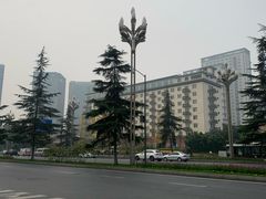 -胡成记口蘑龙眼包子(盐道街店)