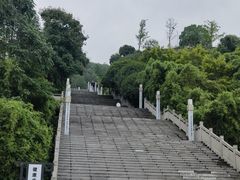 -铁山坪森林公园