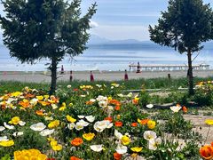 -赛里木湖风景名胜区