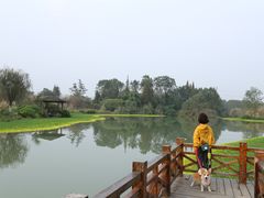 -桤木河湿地公园