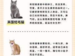 -爱侣宠医·鹦鹉专科·小型哺乳类·异宠专科(灵石路店)