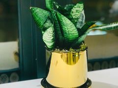 -OT另茶(上海幸福里店)