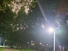 -后襄河公园