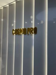 -COSMO PRO造型