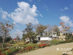 -黄色小屋