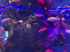 -石家庄极地海洋世界