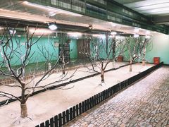 -上海大自然野生昆虫馆(东方明珠·爬宠昆虫探索中心)