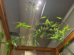 -本处·素食·融合料理(南油店)
