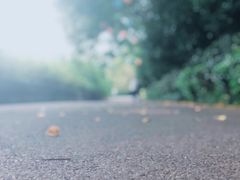 -西湖风景区-江洋畈生态公园