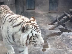 -西安秦岭野生动物园