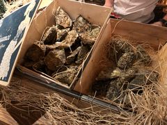 -斯普汇生蚝牛排馆(中骏世界城店)