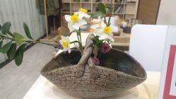 -云上瑜伽·普拉提·维密馆