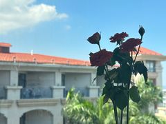 -V Bar海景扒房(北海湾惠龙万达嘉华酒店)