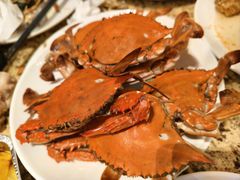 -禾斗海鲜自助(市南银座店)