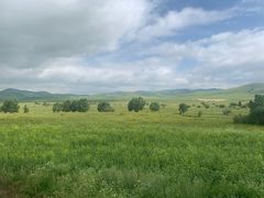 -塞罕坝国家级自然保护区