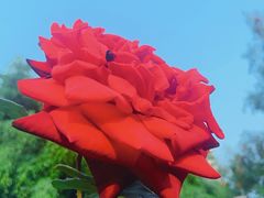 -人民公园(罗湖区)