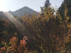 -北京鹫峰国家森林公园