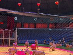 -西安秦岭野生动物园