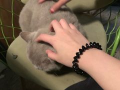 -小时光咖啡馆(北锣鼓巷店)