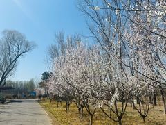 -东郊湿地公园