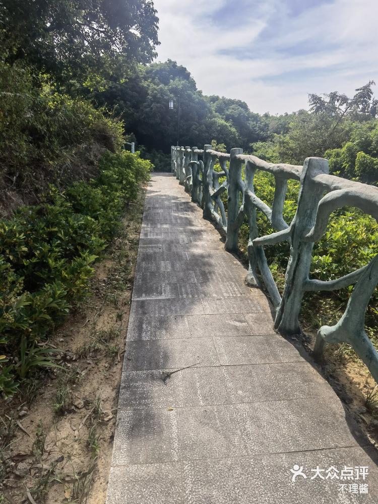 宝安亲子游企龙山公园