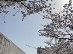 -龙美术馆(西岸馆)