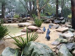 -费瑟代尔野生动物园