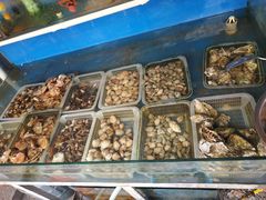 水产区-海帮主·蒸汽海鲜青岛菜(栈桥火车站店)