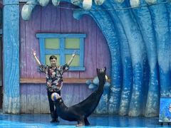 -华夏文旅海洋公园