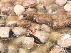 -拾下卜卜贝•海鲜火锅