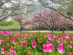 -白塘生态植物园