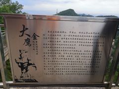 -大金鹰园