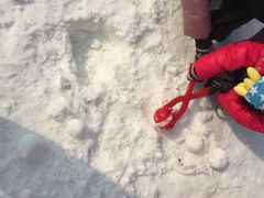 -万源龙顺度假庄园生态观光园