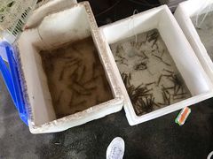 -陈岱后山窑鸡店