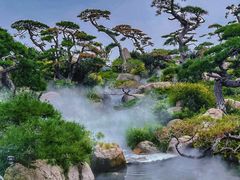 -罗红摄影艺术馆