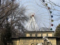 -青城公园
